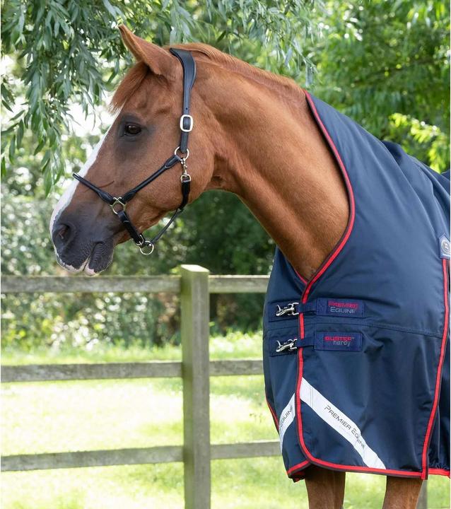 Actual product image Premier Equine Buster Hardy 200 g (198 cm)