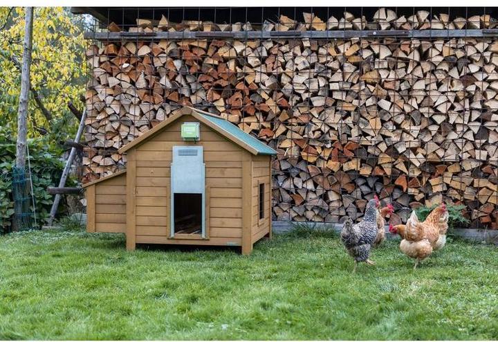 Produktbild Kerbl Basic automatische Hühnertür, Türöffnung, Türöffner für Hühnerstall, Hühnerhaus, mit Lichtsens