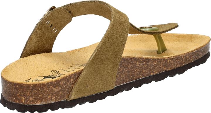 Image du produit Lico Bioline Trend Leather (40)