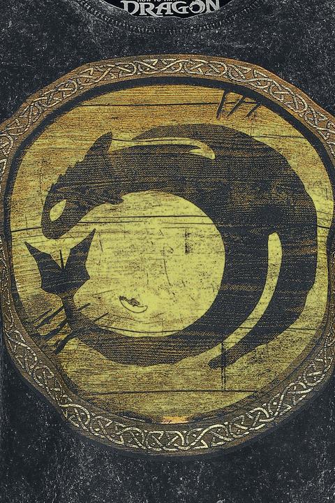Produktbild Dragons - Circle Gold (XL)