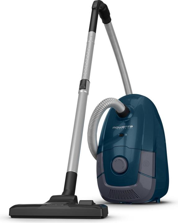 Actual product image Rowenta RO3126EA
