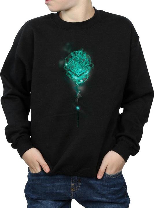 Immagine prodotto Hogwarts Crest Mist Felpa Ragazzi (116)