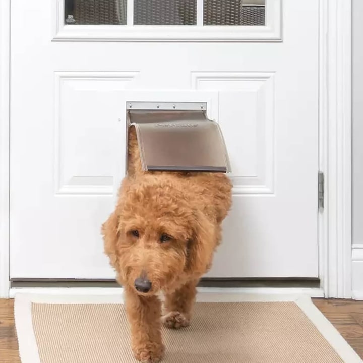 Productafbeelding PetSafe Haustierklappe Staywell® Haustiertüre (Handmatig kattenluik)