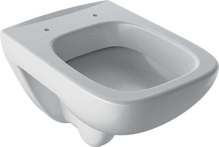 Geberit Keramag / washdown WC Renova compact Square encrusted white wall-mounted 206145000