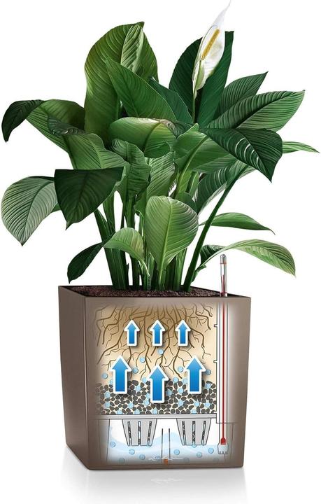 Produktbild Lechuza Cube (49 x 49 x 49.50 cm)
