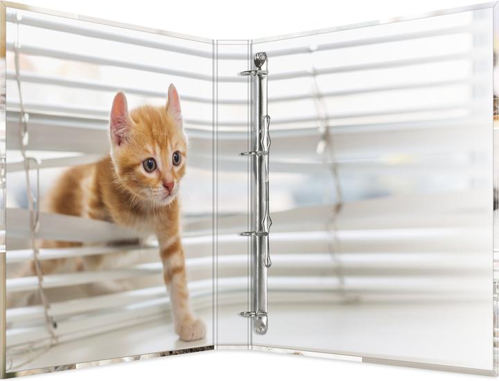 Actual product image HERMA A4 ring binder motif (A4, 35 mm, 1 pcs.)