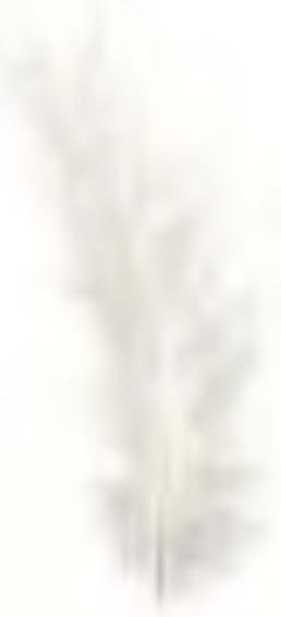 Actual product image Glorex Marabou feathers