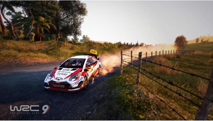 Immagine prodotto Nacon Gaming WRC 9 (Switch, Multilingue)