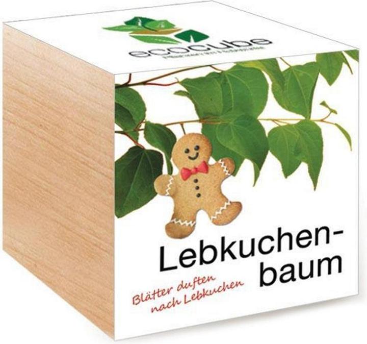 Feel Green Ecocube (Graines de plantes)