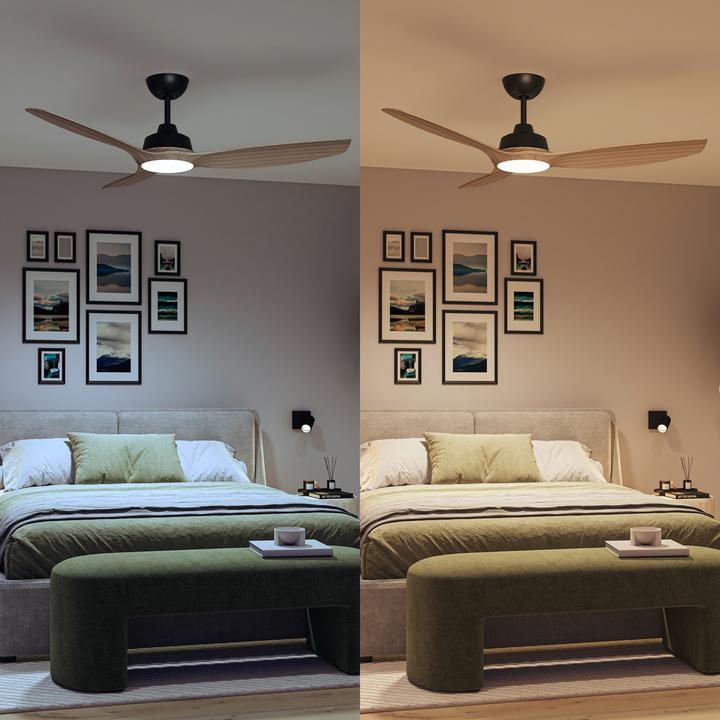 Immagine prodotto Philips Olas