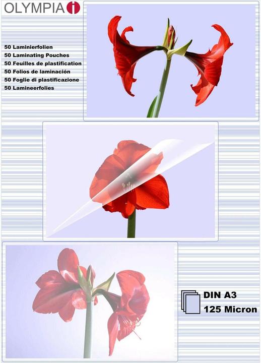 Olympia Laminierfolien (A3, 50 Stk., 125 µm)