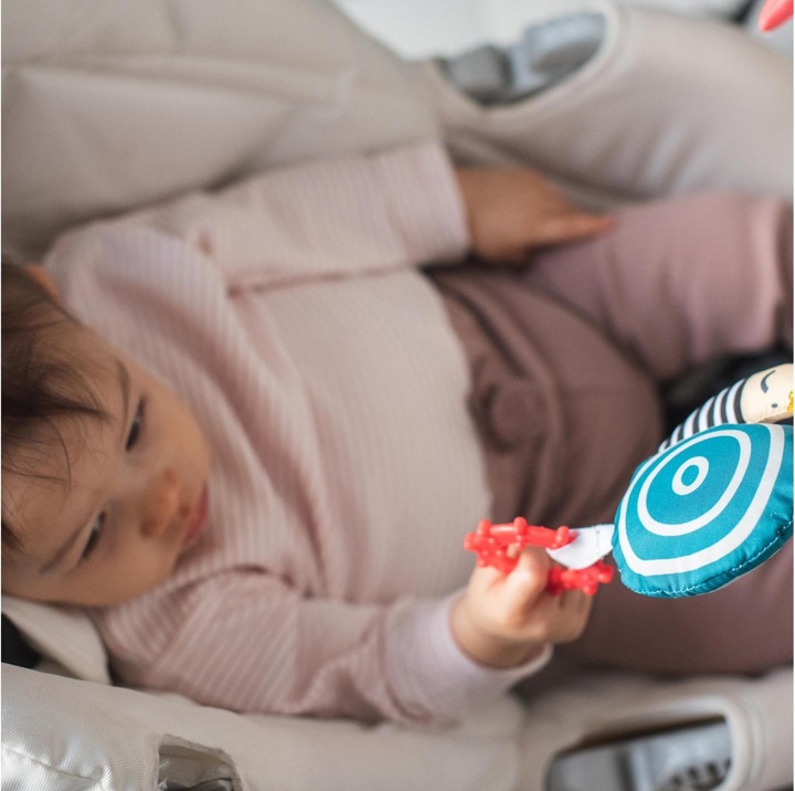 Immagine prodotto Taf Toys Auto giocattolo Koala