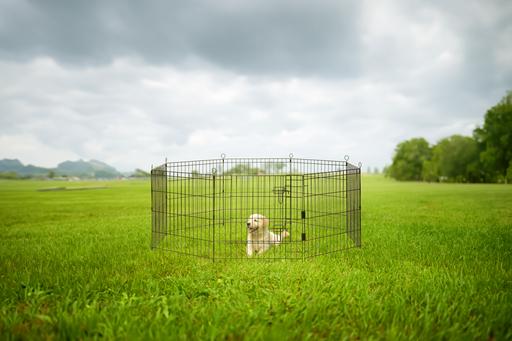 Productafbeelding Beeztees Puppy box+deur