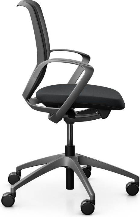 Immagine prodotto Giroflex Netzrücken mit Armlehnen 313