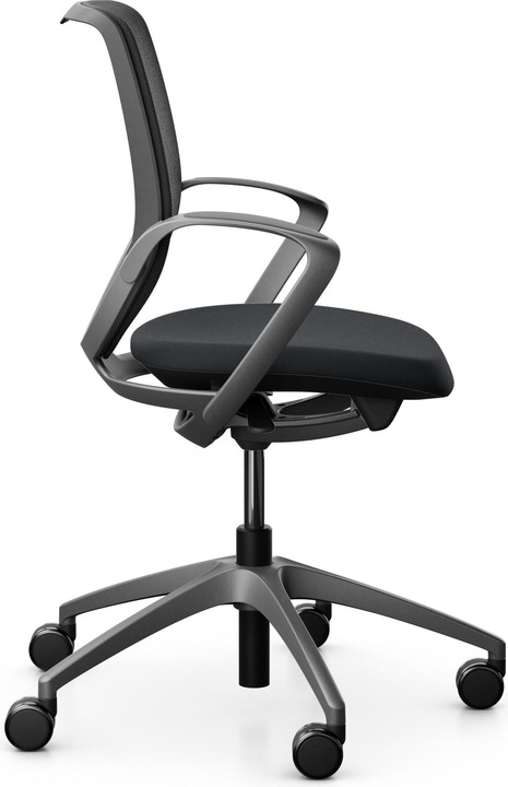 Actual product image Giroflex Netzrücken mit Armlehnen 313