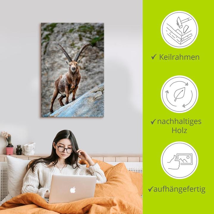 Produktbild Artland Steinbock mit grossen Hörnern U3VG (40 x 60 cm)