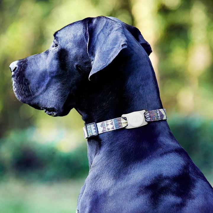 Actual product image Case-Mate AirTag Dog Collar Mount