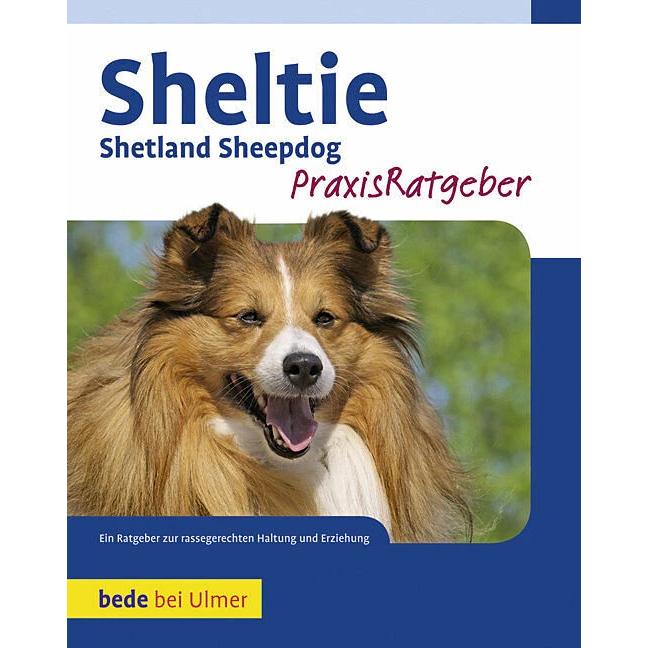 Sheltie, Ratgeber von Charlotte Schwartz