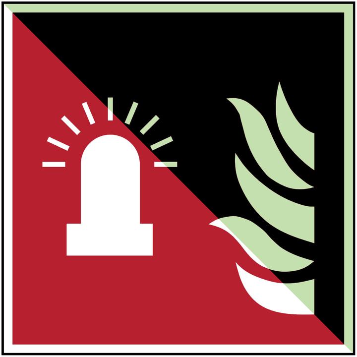Actual product image Brady ISO safety sign - Fire detector with flashing light
