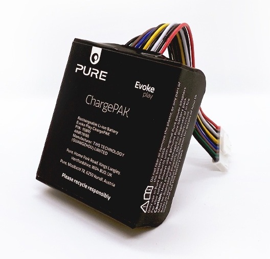 Image du produit Pure ChargePAK Evoke Play