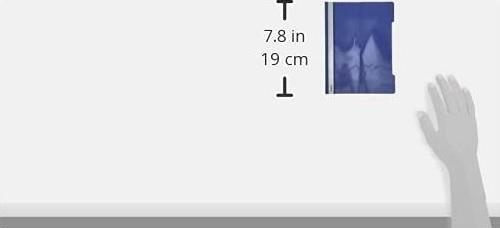 Actual product image Leitz Standard plastic stapler (A4, 1x)