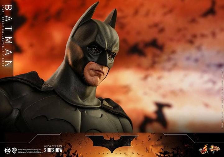 Actual product image Hot Toys Batman Begins Movie Masterpiece