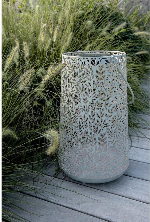 Image du produit STT Antic Mistral