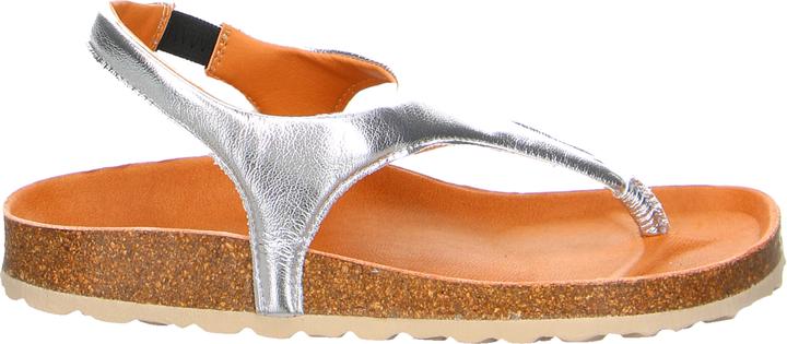 Produktbild Verbenas REAGAN Plata (39)