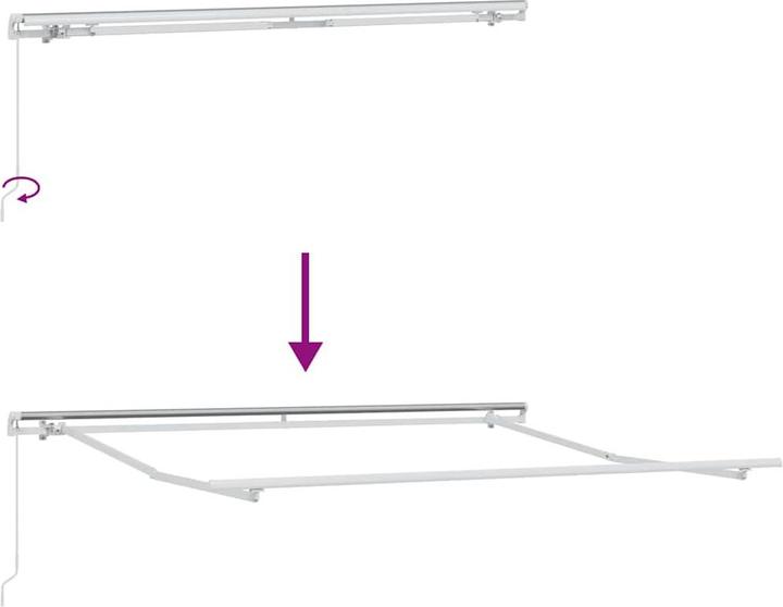 Immagine prodotto VidaXL Protezione solare per il patio (2.50 m)