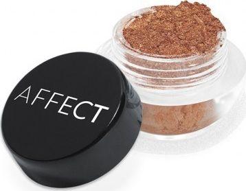 Affect CHARMY Pigment Loose Eyeshadow N-0141 2g