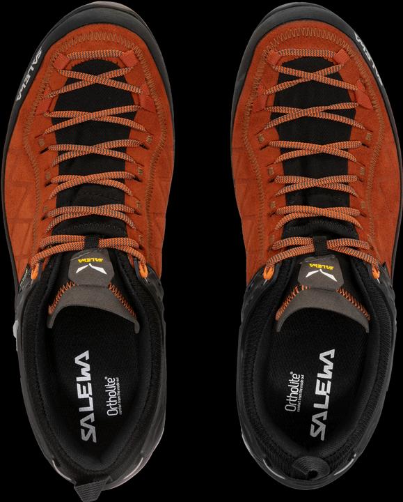 Actual product image Salewa Mountain Trainer 2 GORE-TEX® shoes (46.5)