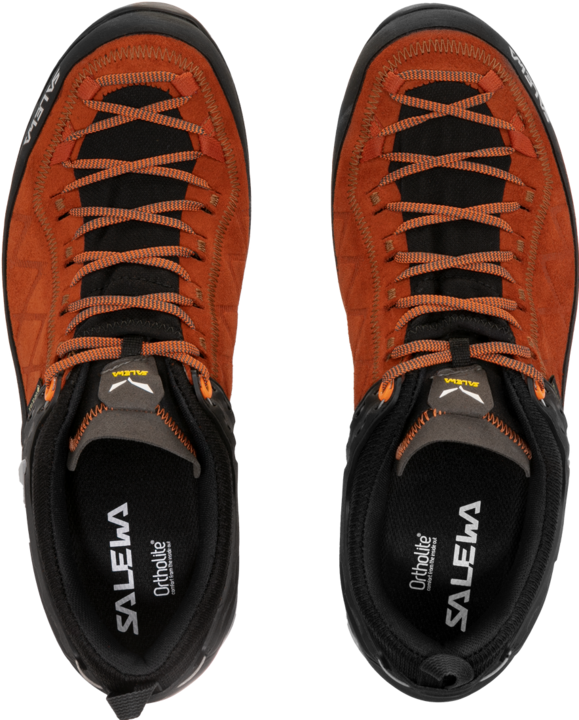 Produktbild Salewa Mountain Trainer 2 GORE-TEX® schuhe (46.5)