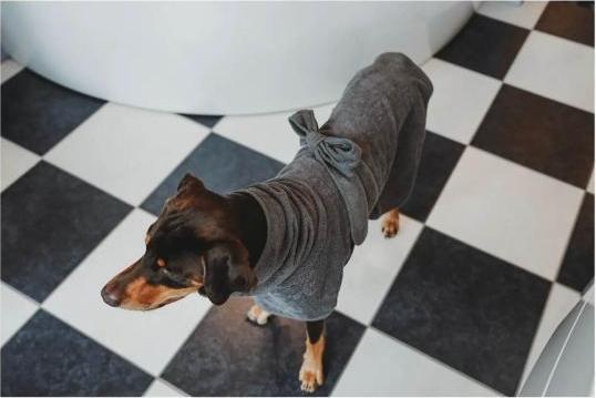 Produktbild Hunter Bademantel Riga für Hunde Grau 60 (60, Hundebademantel)