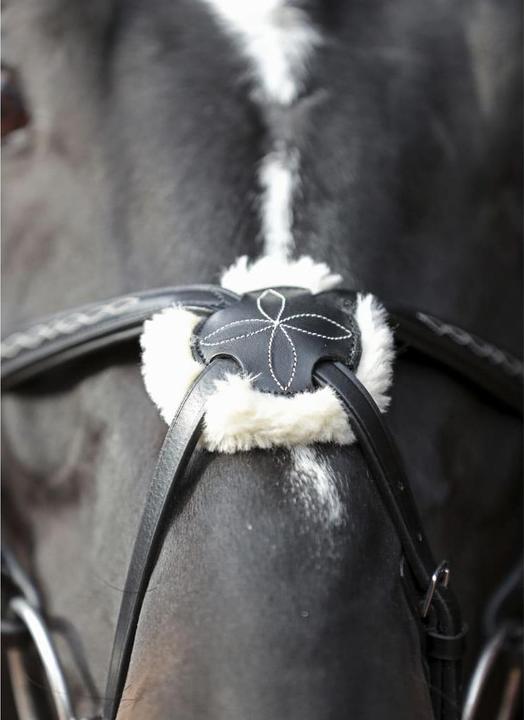 Productafbeelding Kerbl Snaffle hoofdstel Cancun zwart, Cob