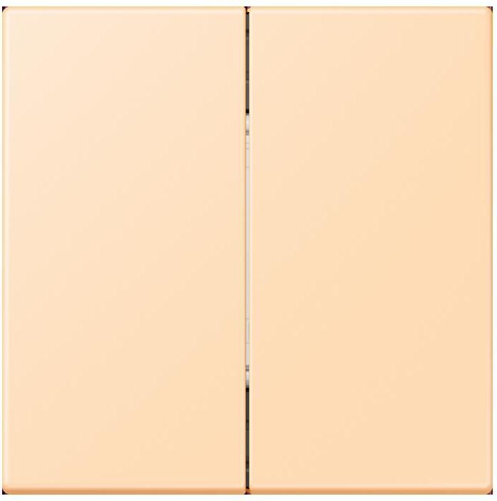 Image du produit JUNG BLELC995223