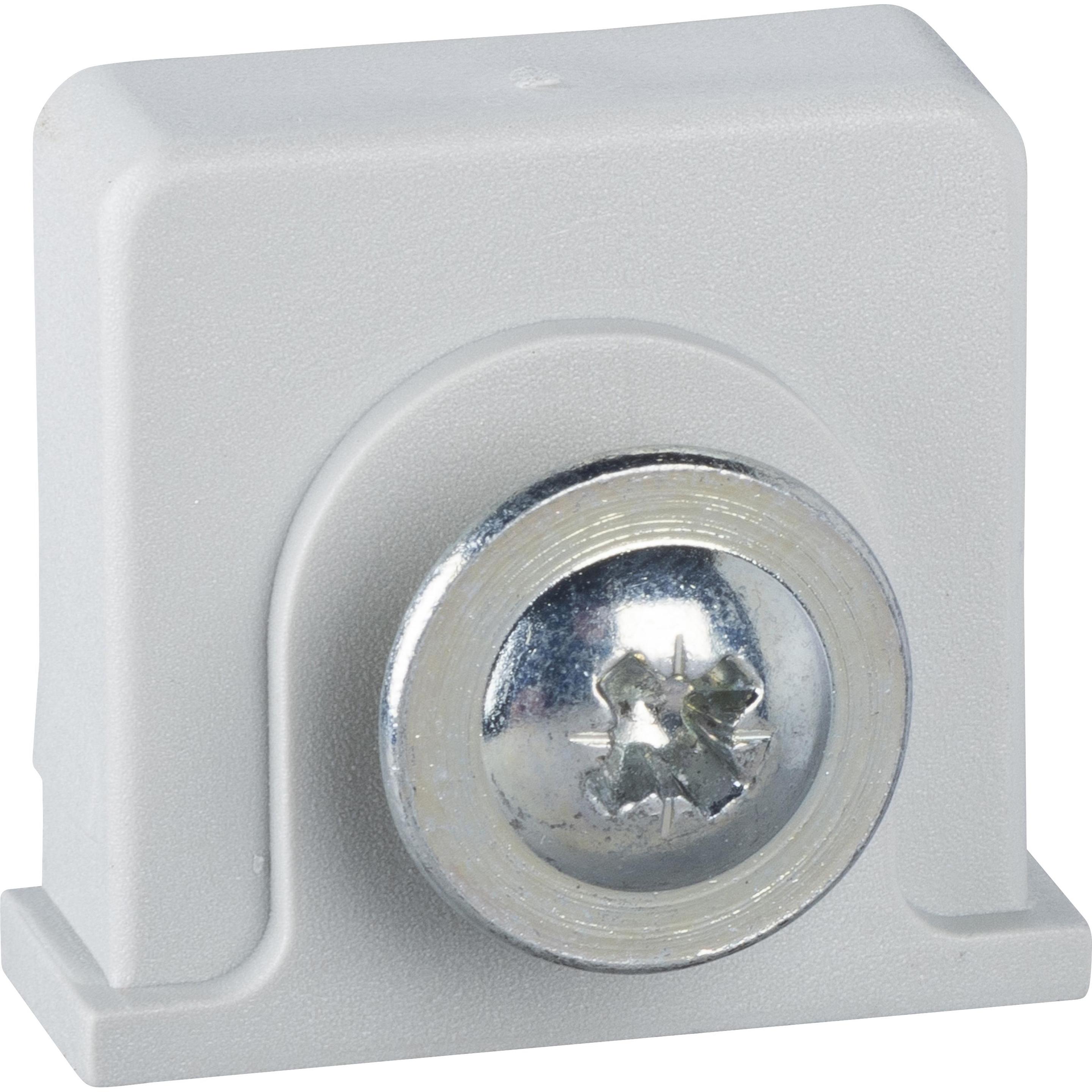 Schneider Electric, Dadi + Rondelle, Dado in plastica e vite autofilettante in NSYTCSPLM (M6)