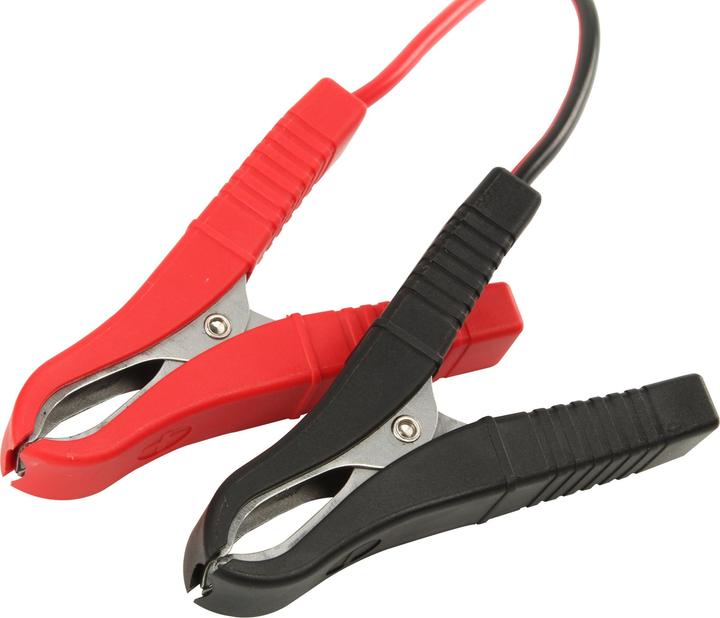 Actual product image Ansmann AutomatikLadegerät ALCT 624/10 (12V, 6V, 24V, 10 A)