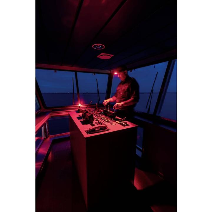 Immagine prodotto Scangrip Lampada frontale Lampada frontale Vista notturna (160 lm)