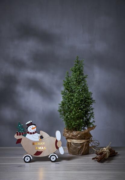 Image du produit Star Trading Décoration de table Billy