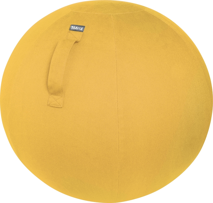 Image du produit Leitz Ballon-siège Ergo Cosy Active (65 cm)