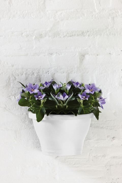 Produktbild Elho Corsica Wandampel (16 cm)
