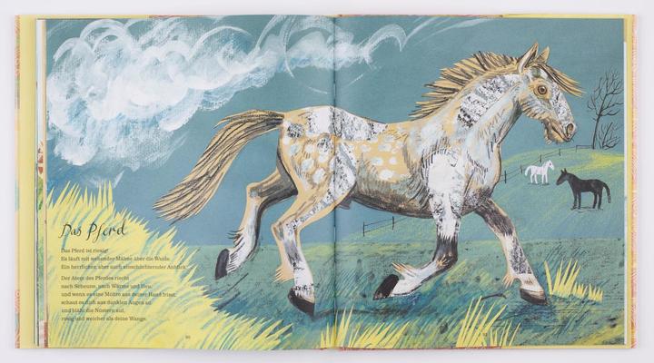 Actual product image Mein erstes grosses Buch von der Natur (German, Nicola Davies, 2013)