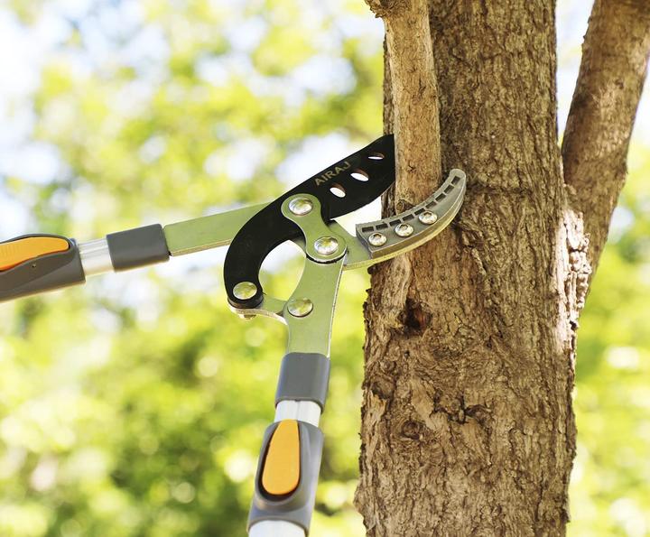 Produktbild Airaj Teleskop-Astschere