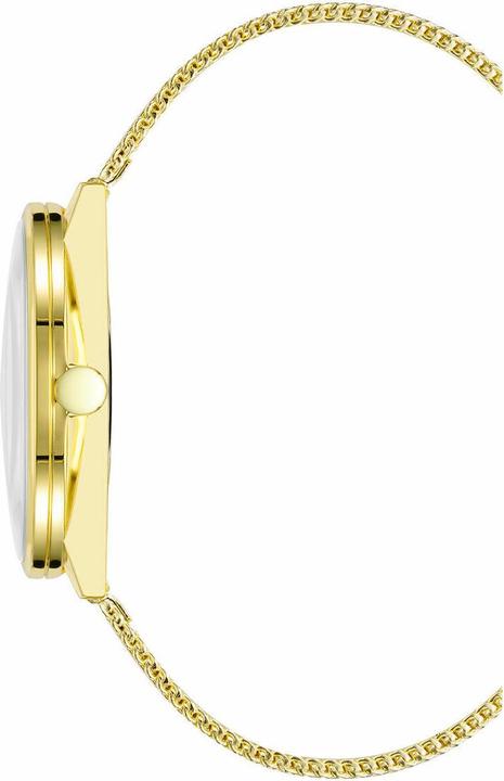 Produktbild Nine West AnalogovÃ© hodinky NW/2668GNGB (35 mm)