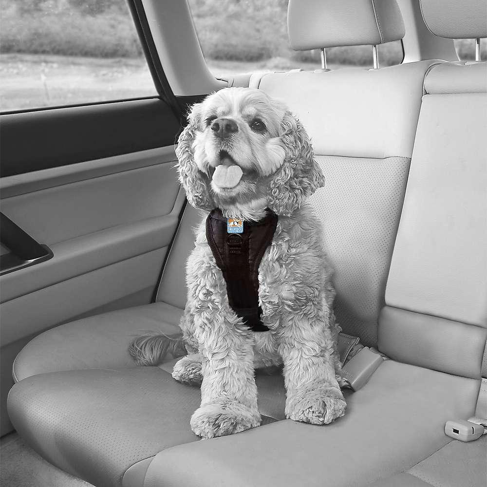 Kurgo Nero Tru-Fit Smart Harness (Cane, Passeggiare), Collare + Guinzaglio