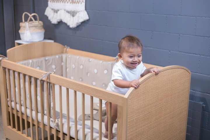Actual product image Zewi Nest