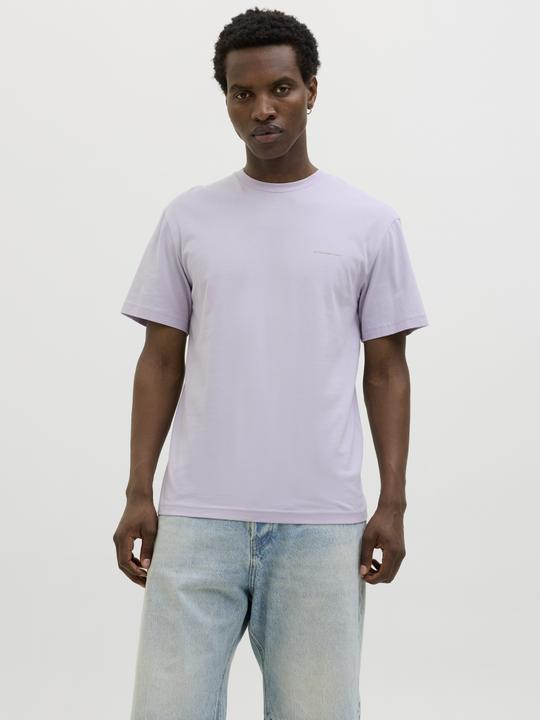 Actual product image Jack & Jones Jjsummer Vibes Tee Ss Crew Neck Ln (XXL)