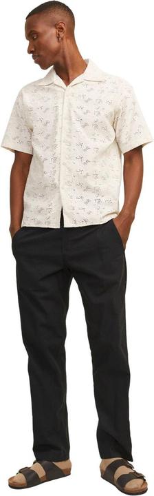 Actual product image Jack & Jones Jpstkane Jjsummer Jogger Sn (L)