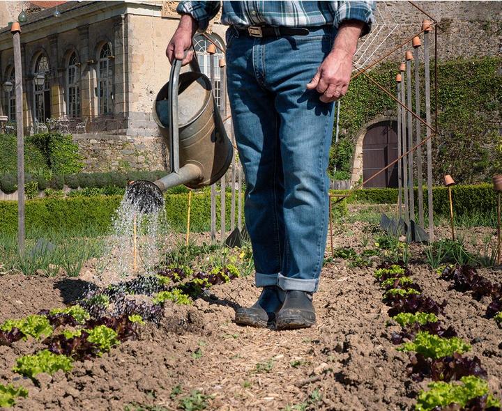 Produktbild Rouchette stiefeletten clean land (42)