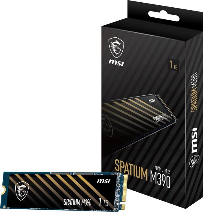 Produktbild MSI Spatium M390 (1000 GB, M.2 2280)